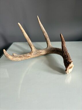 Natural Deer Antler Rack - Rustic Home Decor